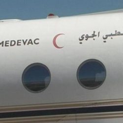 مجلس جامعة الدول العربية يرفع للقمة قرارا يرفض الانقلاب الحوثي في اليمن