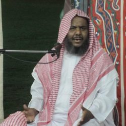 رويترز: الحشود السعودية على الحدود مع اليمن دفاعية