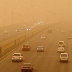 مسودة البيان الختامي للقمة العربية تؤيد عاصفة الحزم وإنشاء القوة العربية المشتركة ودعم الحكومة الشعرية في ليبيا