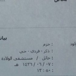 «أبشر» في حُلّة جديدة.. والعسيري: تصاميم مبتكرة سهلة للمواطنين