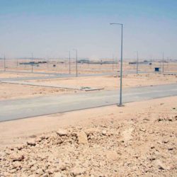 بالفيديو..حفل زفاف أسطوري لنجل سلطان بروناي