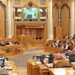 متوسط أجور مشتركي «التأمينات» 9 آلاف ريال لـ«الحكومي» و 5519 لـ«الخاص»
