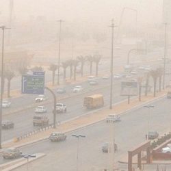 عسيري: القوات البرية تستهدف الحوثيين براجمات الصواريخ لأول مرة