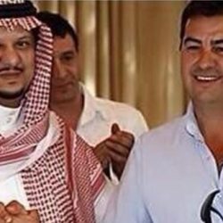 الصفا والفتح والخليج يحققون المراكز الأولى في بطولة المملكة للسباحة