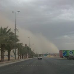 ضوابط جديدة لنقل معلمي «الظروف الخاصة»