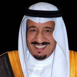 بالفيديو..  هندية  طول شعرها مترين تسعي لدخول  موسوعة جينيس