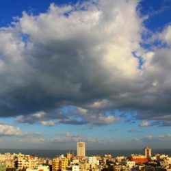 المفتي: مروِّج المخدرات وبائعها ومسوقها كلهم ملعونون
