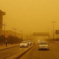 كبيرة منسقي الأمم المتحدة للشؤون الإنسانية تؤكد ضرورة زيادة تدفق المساعدات الإنسانية إلى غزة
