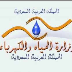 ورشة قياس معدل البطالة بجامعة القصيم تؤكد أهمية تفعيل إستراتيجية التوظيف بالمملكة