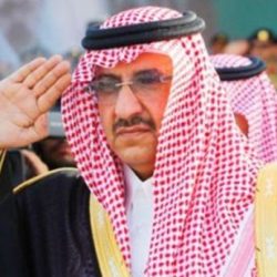 ‫بالفيديو.. تعرّف على إمكانيات القوة الضاربة للجيش السعودي‬