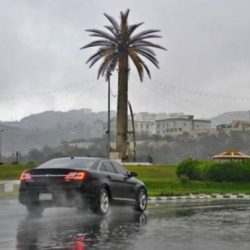 وزير التجارة والصناعة يبحث مع وزير الاستثمار والتنمية بكازاخستان سبل تعزيز العلاقات الاقتصادية والتجارية بين البلدين