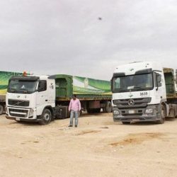 وزير الزراعة  يوقع عقد زراعة وري أشجار في جبل فيفا وبلغازي