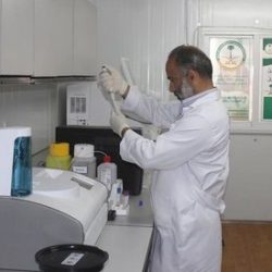 المرور : السجن والغرامة عقوبة إمساك الجوال باليد أثناء القيادة