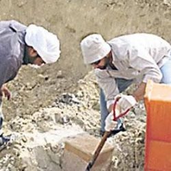 معرض “استثمر في السعودية” يحط رحاله في طوكيو