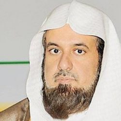 سفير خادم الحرمين الشريفين لدى ألمانيا يشيد بالعلاقات السعودية التركية
