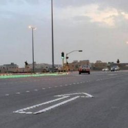 نائب رئيس”الشوري” يستقبل عميد الأكاديمية الدولية لمكافحة الفساد