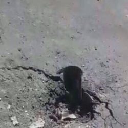 عدد من  الأئمة والدعاة يستنكرون الأحداث الإجرامية بجامع العنود بالدمام ومسجد علي بن أبي طالب في القديح