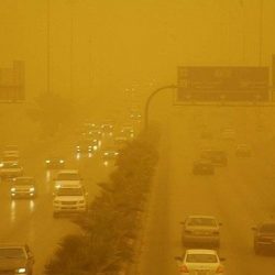 بالصور.. 50 ثعباناً بعضها عملاق تباغت “الدفاع المدني” خلال مباشرتهم حريقاً في منزل بجازان
