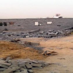 القنصل السعودي: مبيد حشري محظور دولياً هو المتسبب في وفاة وإصابة السعوديين بإيران