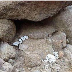 السجن من 4 إلى 26 سنة لـ 22 من خلية الموحدين الإرهابية