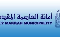 اليمن: مقتل الوحيشي قائد تنظيم القاعدة في اليمن