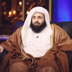 الهلال يدخل سباق أيمن حفني.. والزمالك يستعجل مستحقات «شيفو»