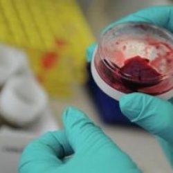 ​”شرطة الرياض” تضبط 37 شاباً مارسوا التفحيط والمجاهرة بالإفطار في نهار رمضان