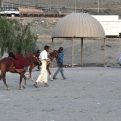 القبض على شاب ارتدى ملابس الإحرام أثناء افتتاح أحد المطاعم ببريدة