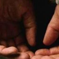 وفاة الشيخ العلامة محمد بن نبهان المصري