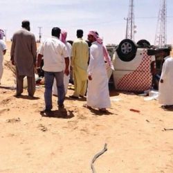 إحباط تهريب 44 كجم حشيش في بيشة