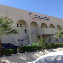 رونالدو يبيع حقوقه التجارية لصالح رجل الأعمال السنغافوري بيتر ليم