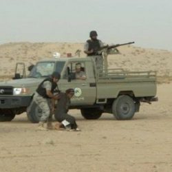 “أمن الخماسين” يحبط تهريب سبائك ذهب بحوزة يمني قادم من الجنوب