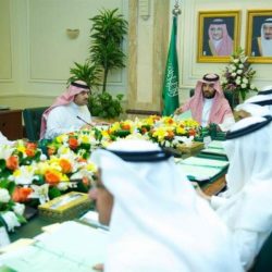 الطيران المدني: بدء “الخليجية للطيران” رحلاتها بالمملكة في نوفمبر.. ونعمل على تحديد موعد بدء “طيران المها”