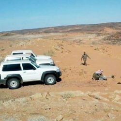 مصرع وإصابة 5 أشخاص في تصادم بالعيص
