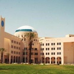 “الخطوط السعودية” تحقق مع مضيف في اتهامات بإساءة معاملة طفل من ذوي الاحتياجات
