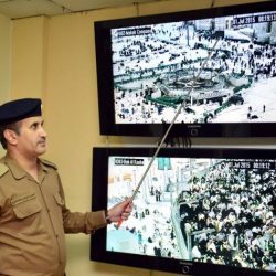 البرقان: لم يصلنا أي شيء رسمي بخصوص المولد