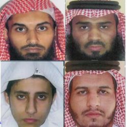 “الخدمة المدنية”: لا اعتبار للنقاط مقارنة بأولوية التخصص في الوظائف التعليمية