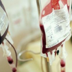 بالصور.. إحباط محاولتين لتهريب أكثر من 600 طير زينة