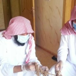 الانتخابات البلدية: 343 دائرة انتخابية موزعة على 284 مجلساً خلال الدورة الثالثة