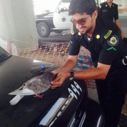 بالصور.. أهالي حي بالجوف يقيمون إفطاراً جماعياً للتلاحم ولمّ الشمل