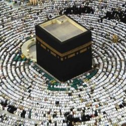 “الشؤون الاجتماعية” تبدي استعدادها لإقرار علاوة سنوية وتأمين صحي للمتقاعدين