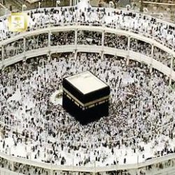 صحيفة: “العمل” تسمح لـ6 شركات بإصدار 1.2 مليون تأشيرة لاستقدام عمالة منزلية وسائقين