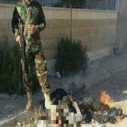 بالصور.. عين بالأحساء تتحول ملاذاً للمواطنين هرباً من حرارة الجو