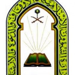 7 مسميات وظيفية يستحق شاغلوها مكافآت “مباشرة الأموال العامة”