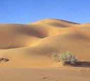 بالصور.. خادم الحرمين يستقبل الرئيس السوداني ويقيم مأدبة إفطار له
