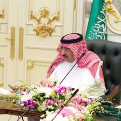 “شرطة المدينة”: القبض على 4 أشقاء قاموا بلعب “البلوت” داخل المسجد النبوي