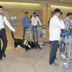 إحالة 3 قياديين بالصحة للتحقيق بموجب تقارير لـ”نزاهة”