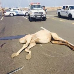 مصرع شاب غرقا بشرم ينبع ونجاة مرافقه