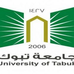 وصول سفينة إماراتية إلى عدن محملة بمولدات للطاقة الكهربائية