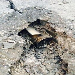 العريفي ينشر صورةً لضبٍّ ضخم وحديثاً للنبي.. ناصحاً: لا تُكره نفسك على ما لا تشتهي مجاملةً لأحد